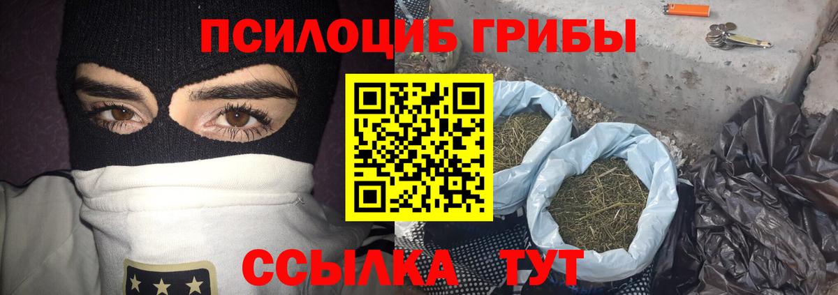 Галлюциногенные грибы прущие грибы  Вход с VPN  Гусев 